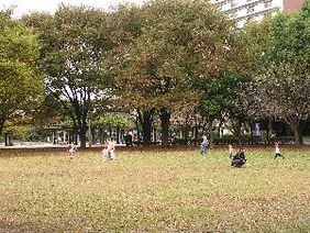 新小岩公園広場の写真