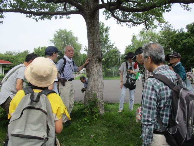 自然研修会　令和元年7月自然観察研修会（都立水元公園 水辺のいきもの館）の写真。