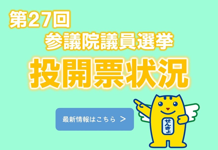 参議院議員選挙 投開票状況