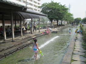 曳舟川親水公園（亀有図書館付近）の写真