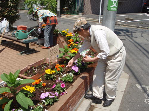 花いっぱい活動写真1