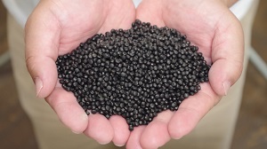 写真：カーボンブラックとプラスチックを混ぜたペレット