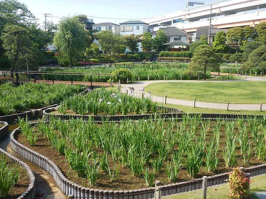 5月18日の様子