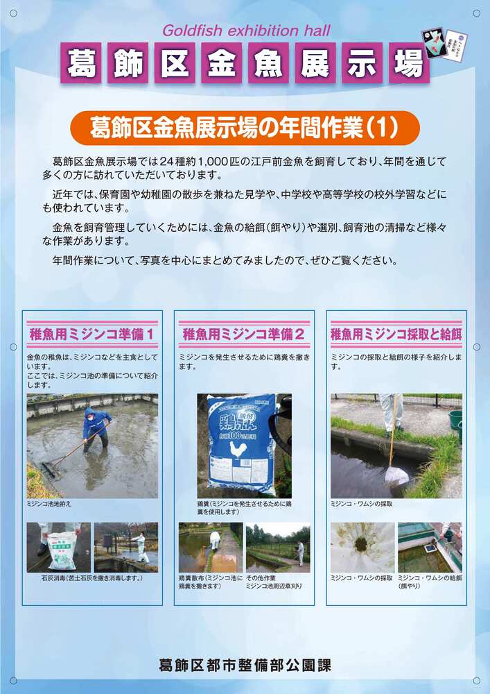 年間作業　ミジンコ等