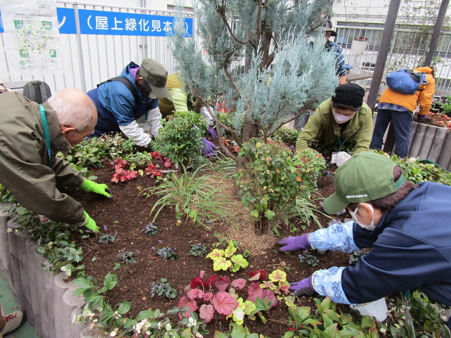 葛飾区緑化推進協力員