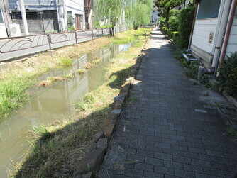 調査地(四つ木めだかの小道)の写真