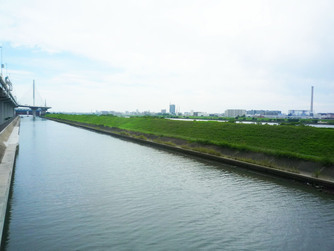 調査地(綾瀬川)の写真