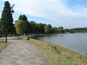 水元公園の写真