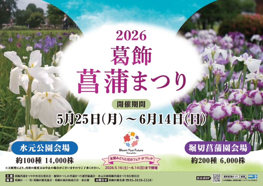 菖蒲まつりポスター