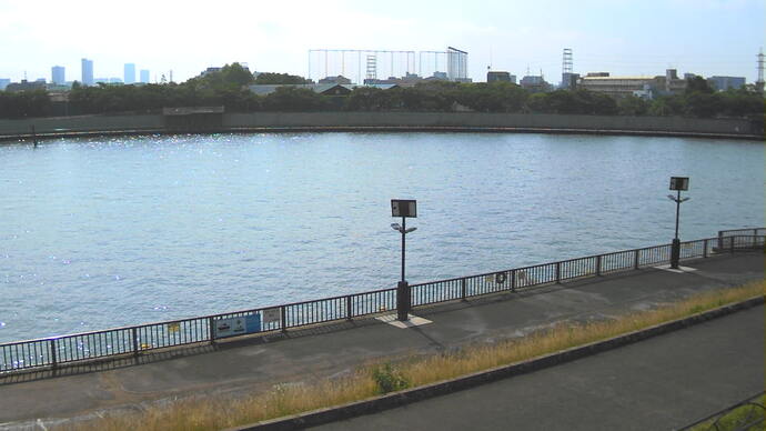 東立石緑地公園船着場付近で撮影した平常時の中川の映像
