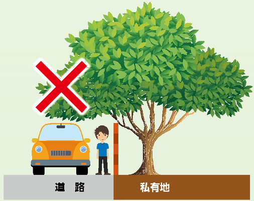 私有地から道路上に樹木がはみ出しているイラスト