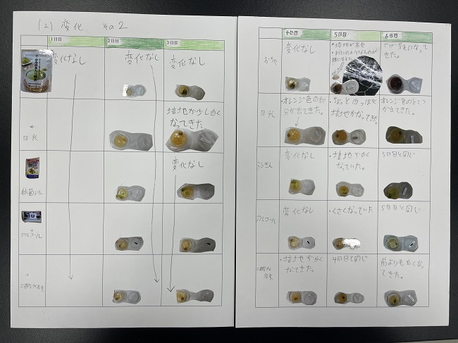 小学校の部　東京理科大学学長賞