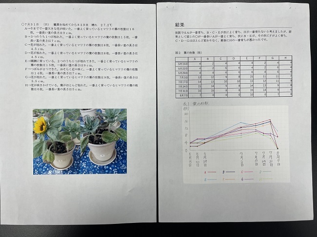 中学校の部　入賞