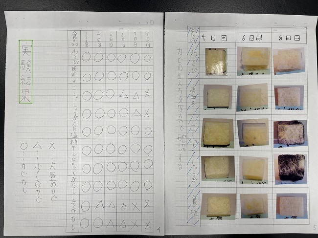 中学校の部　入賞