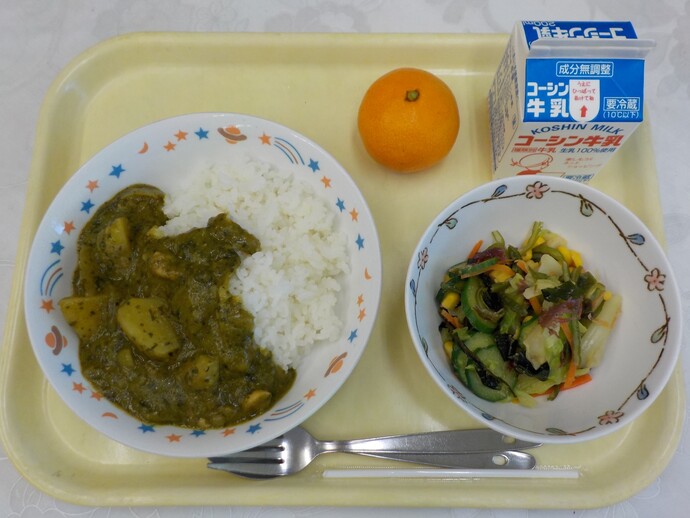 小松菜サグカレー