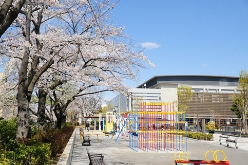 水元スポーツセンター公園の桜