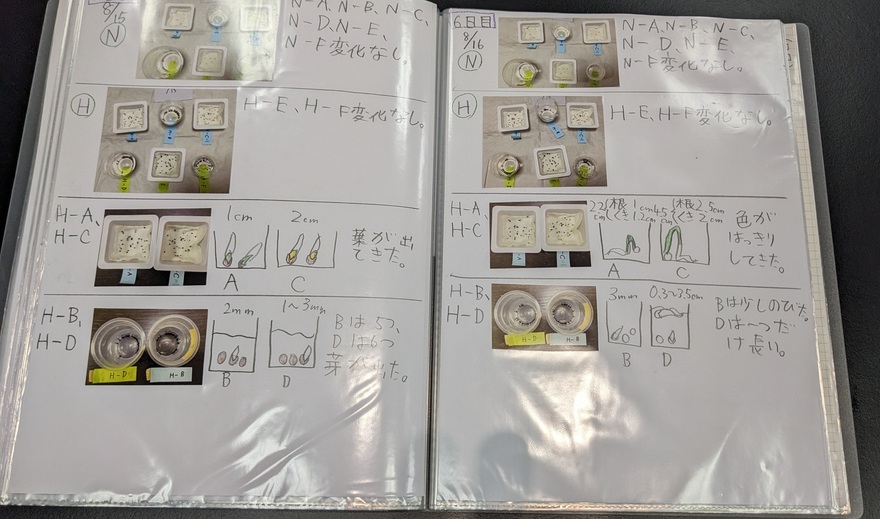 小学校の部　東京理科大学学長賞