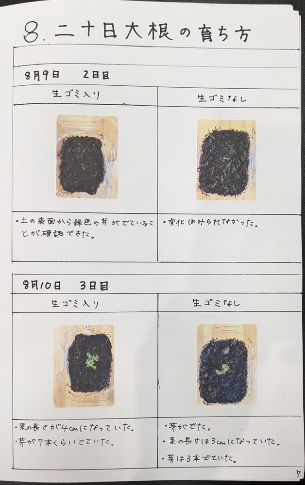 中学校の部　入賞