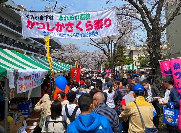 かつしかさくら祭り