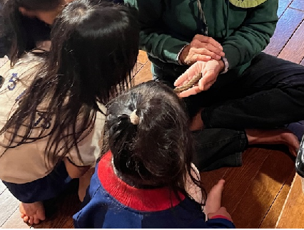子供たちと馬