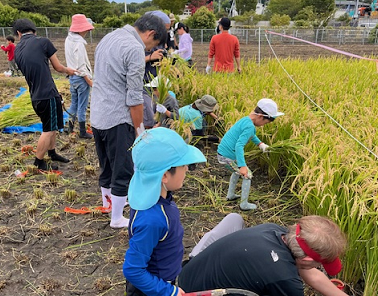 子供たちと馬