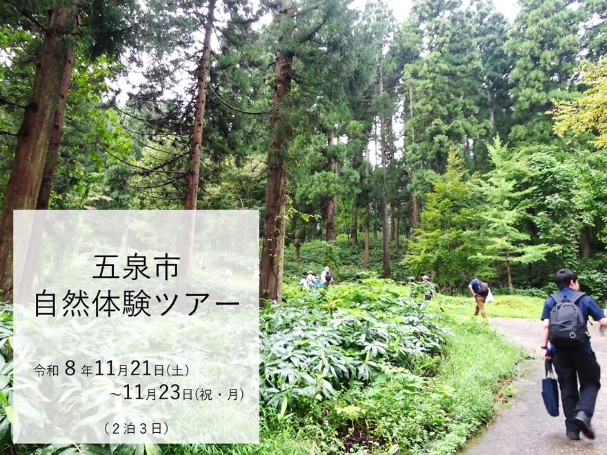 森林公園