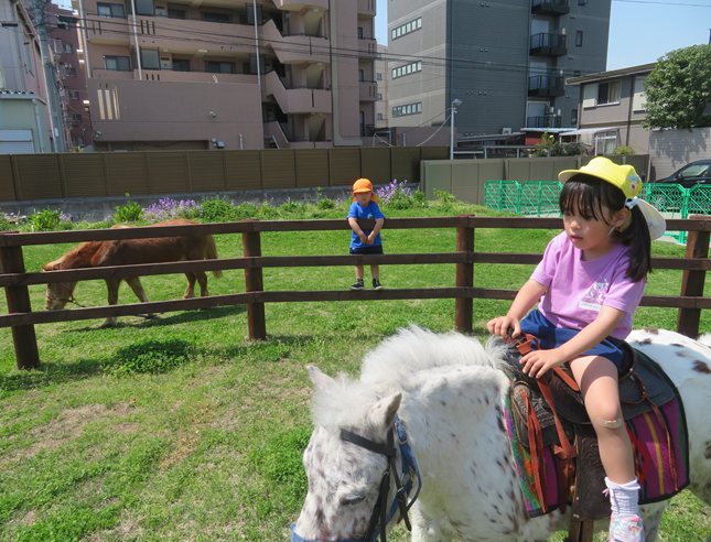 子供たちと馬