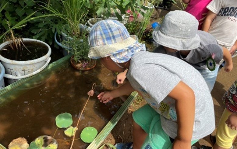 子供たちと馬