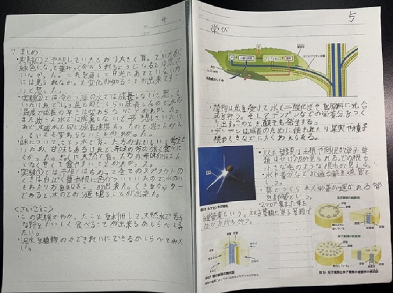 小学校の部　入賞