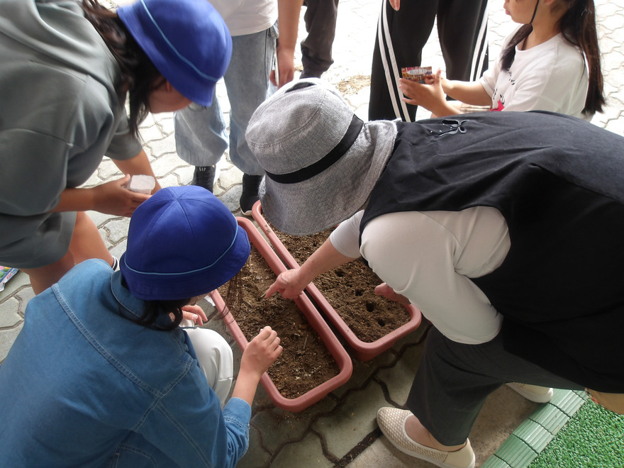 東四つ木小学校での人権の花運動の様子