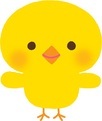 ひよこ