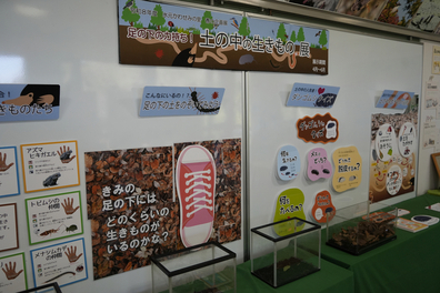 展示