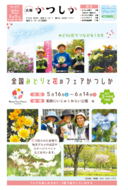 一面の画像
