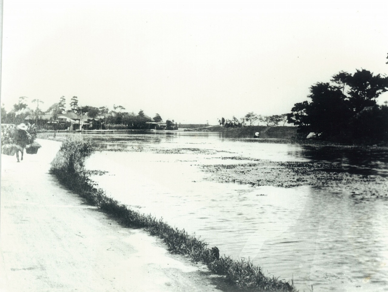 葛飾区史 写真で見る葛飾 今昔写真集